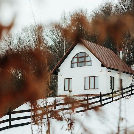 Casuta Boema Villa Risnov Bagian luar foto