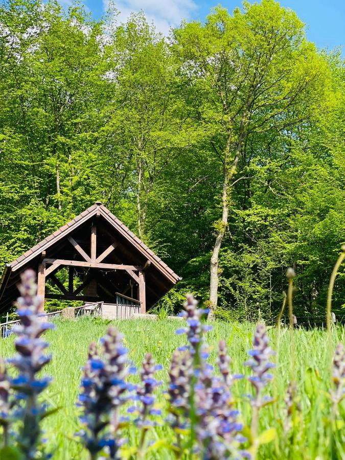 Casuta Boema Villa Risnov Bagian luar foto
