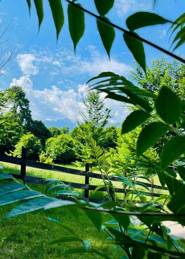 Casuta Boema Villa Risnov Bagian luar foto