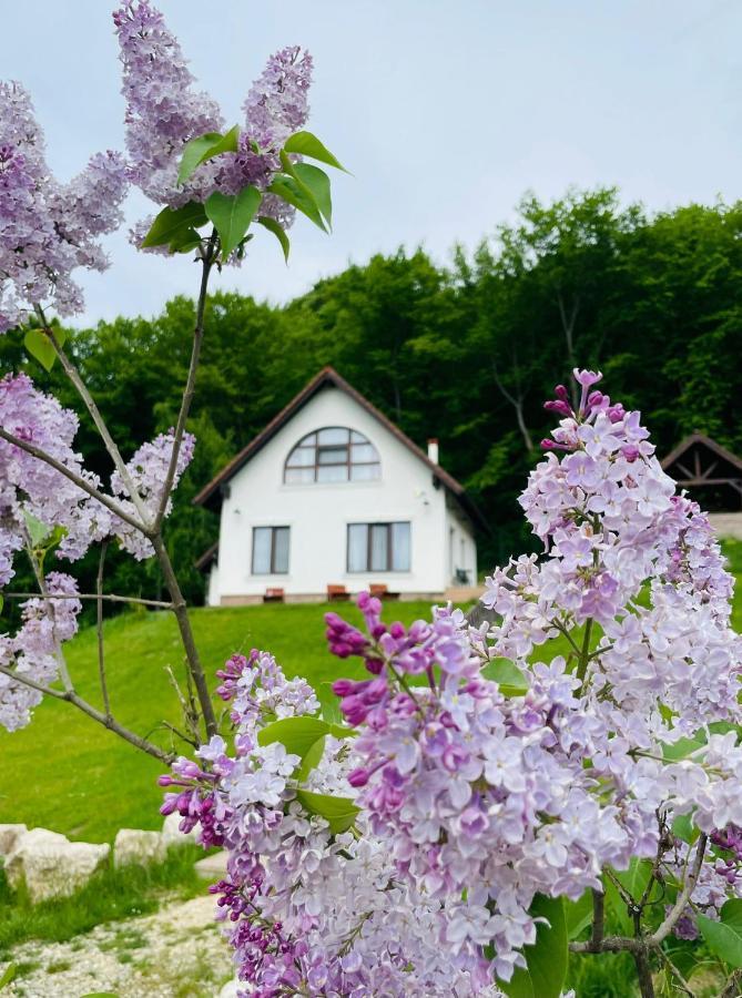 Casuta Boema Villa Risnov Bagian luar foto