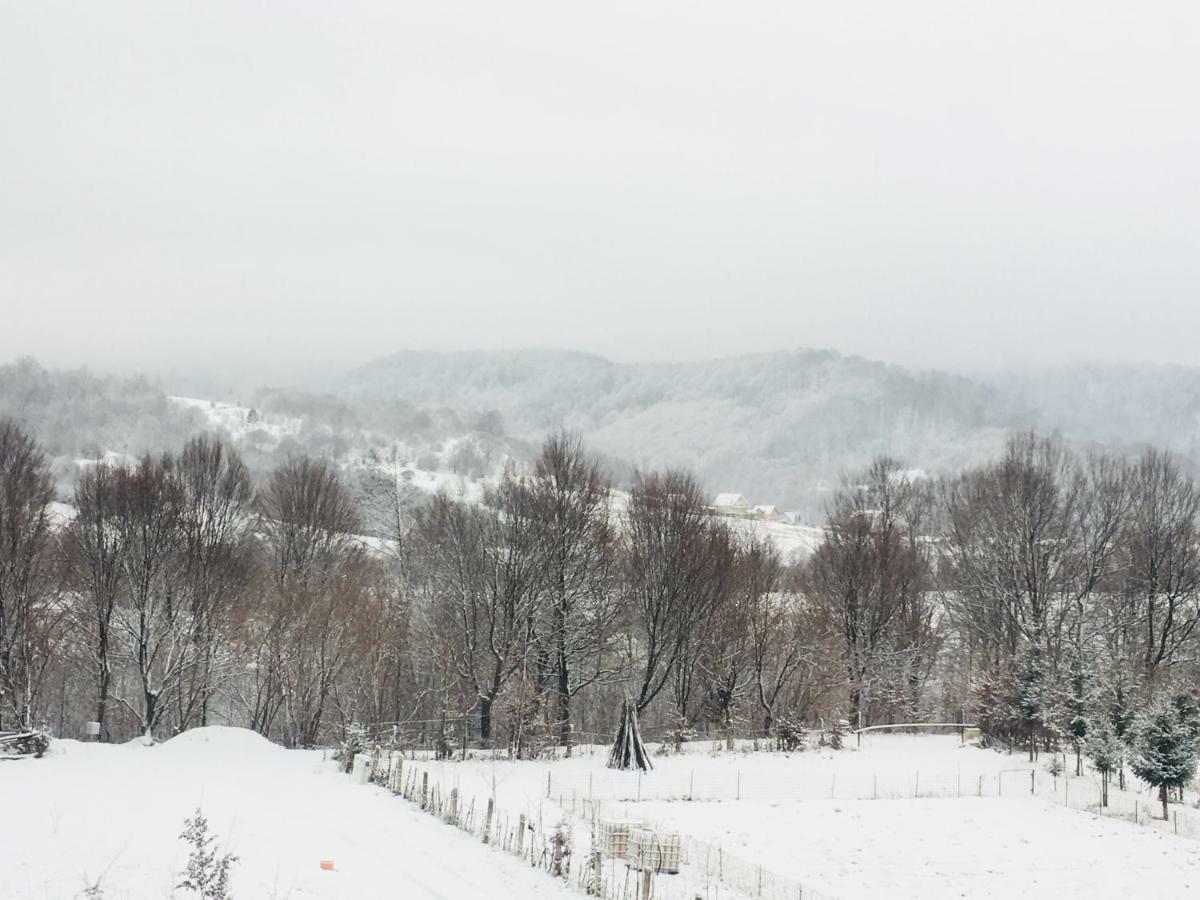 Casuta Boema Villa Risnov Bagian luar foto