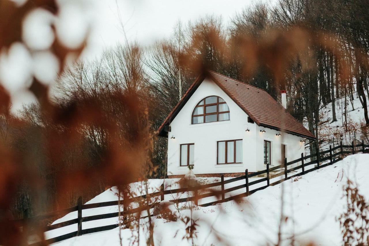 Casuta Boema Villa Risnov Bagian luar foto