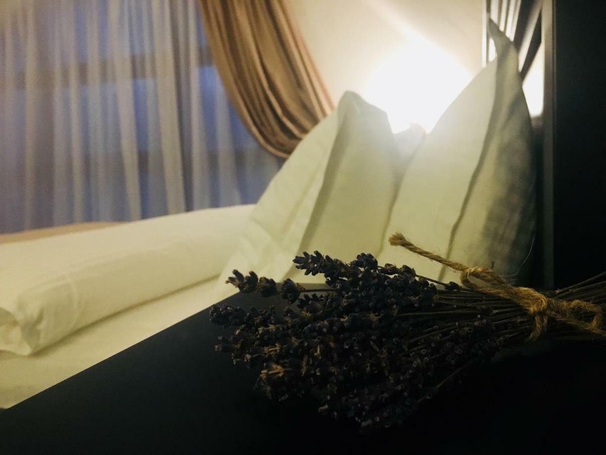 Casuta Boema Villa Risnov Bagian luar foto