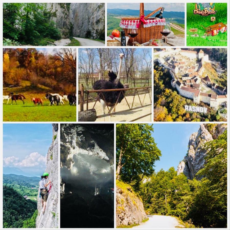 Casuta Boema Villa Risnov Bagian luar foto
